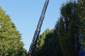 Feuerwehr Dresden: FW Dresden: Rettung einer Person mit der Drehleiter