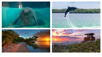 Bradenton Gulf Islands: Zwischen Meer und Mangroven: Die Tierwelt der Bradenton Gulf Islands