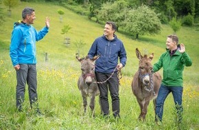 Schweizerische Evangelische Allianz: Andi Bachmann-Roth startet als Generalsekretär der SEA