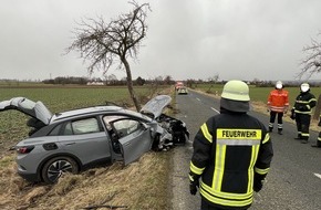 Polizeiinspektion Hildesheim: POL-HI: PKW gegen Baum - Hoher Sachschaden und eine Verletzte -