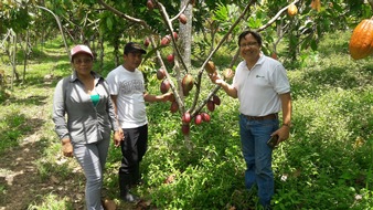 ForestFinance: Bioanbau im Agroforst:  ForestFinance erhält Bio-Zertifikate für Kakao, Oliven und Datteln