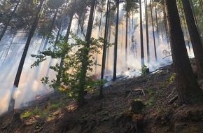 Polizeidirektion Pirmasens: POL-PDPS: Waldbrand