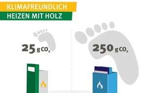 FNR Fachagentur Nachwachsende Rohstoffe: Klimafreundlich Heizen mit Holzheizkesseln