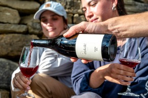 Presse-Feature: Erntedank im Weinberg