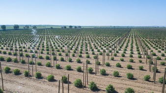 Tilray Deutschland GmbH: Medizinisches Cannabis: Tilray® vergrößert Anbaufläche am portugiesischen Standort Cantanhede