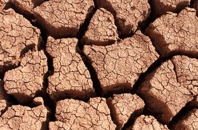 ZDF: Die Welt vor der Agrarkatastrophe?/ ZDF-Umweltreihe "planet e." über "Das große Ackersterben" (FOTO)