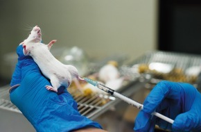 Zürcher Tierschutz: Tierversuche: Hunderttausende Labortiere sinnlos getötet