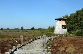 Krombacher Brauerei GmbH & Co.: Krombacher Brauerei unterstützt Moorschutz in Deutschland - NABU Projekt Großes Torfmoor erhält "Moorhus" (BILD)