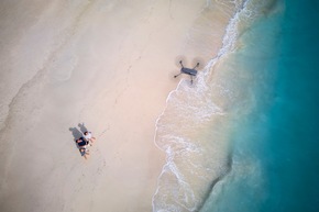 Das The Ritz-Carlton Maldives, Fari Islands engagiert sich für den Schutz der Meere und ihrer Bewohner
