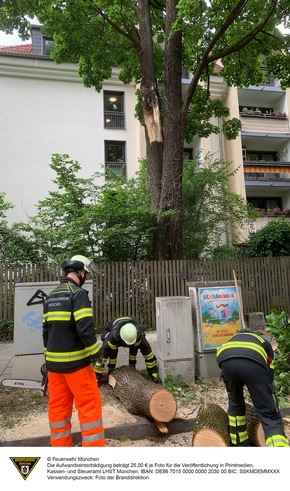 FW-M: Herabfallender Ast beschädigt mehrere Fahrzeuge (Neuhausen)