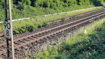 Bundespolizeiinspektion Trier: BPOL-TR: Bundespolizei Trier und das entlaufene Schaf