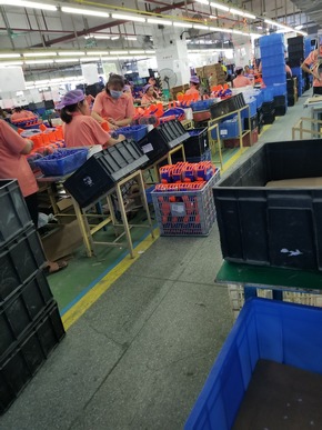 Frozen im Sweatshop: Ausbeutung in den Spielzeugfabriken