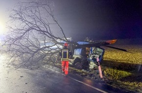 Feuerwehr Flotwedel: FW Flotwedel: LKW kommt von Fahrbahn ab - Baum blockiert B214