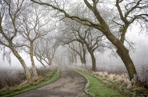 Bund für Umwelt und Naturschutz Deutschland e.V. (BUND): "Allee des Jahres 2025" in Niedersachsen / Doppelerfolg für Leybuchtpolder