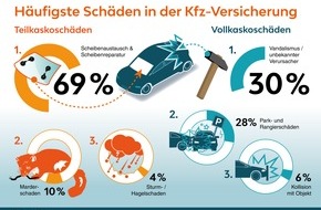 LeasePlan Deutschland GmbH: Die häufigsten Schäden in der Kfz-Versicherung: Achtung, Marder unterwegs