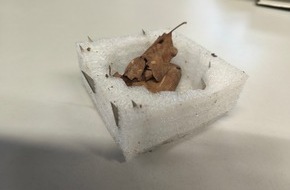 Polizeipr&auml;sidium Ulm: POL-UL: (GP) G&ouml;ppingen - Erneut Trittfallen aufgetaucht / Am vergangenen Montag (02.02.06) wurde ein Autofreifen durch Nagelfallen besch&auml;digt.