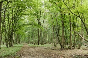 L'ORÉAL Austria, Germany, Switzerland: NABU, Naturschutzbund Deutschland e.V., Naturschutzbund Österreich und L'Oréal Österreich Deutschland schaffen "Wald der Zukunft"