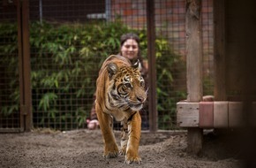 VIER PFOTEN - Stiftung f&uuml;r Tierschutz: Neues Leben f&uuml;r die ersten geretteten Tiere aus dem ehemaligen Zoo Luj&aacute;n