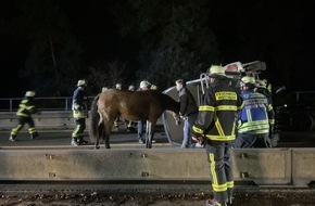 Feuerwehr Dortmund: FW-DO: Auffahrunfall mit 5 Fahrzeugen auf der A45 - Pferdeanhänger umgekippt.