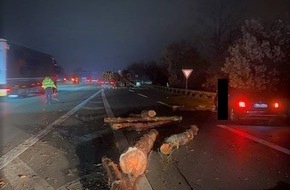 Polizeiinspektion Harburg: POL-WL: Baumstämme blockierten Fahrbahn