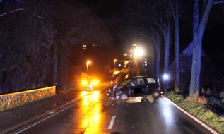 Polizei Minden-Lübbecke: POL-MI: Tier ausgewichen: Auto prallt frontal gegen Baum
