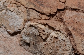 Team der TH Köln untersucht antike Wandmalereien im Weltkulturerbe Petra