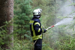 FW-ROW: Großbrand im Beverner Wald: Einsatzkräfte im Kampf gegen die Flammen