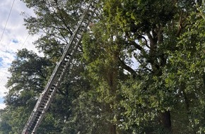 Feuerwehr Schermbeck: FW-Schermbeck: Eins&auml;tze FW Schermbeck