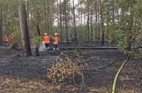 Kreisfeuerwehrverband Lüchow-Dannenberg e.V.: FW Lüchow-Dannenberg: +++Vegetationsbrand in Lüchow-Dannenberg+++Großeinsatz mit ca. 250 Feuerwehrkräften+++Brand schnell unter Kontrolle+++