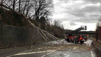 Polizeipräsidium Freiburg: POL-FR: Schopfheim:  Zwei Unfälle durch umgestürzte Bäume - Feuerwehreinsatz