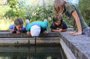 Naturama Aargau: «Familiensommer 2024» im Naturama