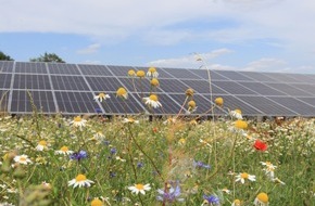 Green Planet Energy: Green Planet Energy und Landkraft Bürgerenergien planen neuen Biodiversitäts-Solarpark im niedersächsischen Dedendorf
