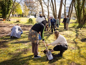 BAUHAUS pflanzt Waldinsel am Campus Bergedorf