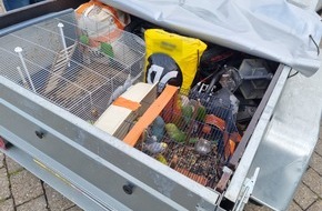 Bundespolizeidirektion Sankt Augustin: BPOL NRW: Bundespolizei stoppt illegalen Tiertransport von Sittichen