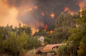 ZDF: Waldbrände im Fokus von "planet e." im ZDF