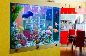 Urlaubsguru GmbH: Zum Tag der Fische gibt es die buntesten und exotischsten Aquariumbewohner