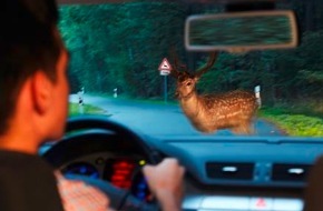 HUK-COBURG: Mit Hirschen und Rehen muss gerechnet werden / Wer durch Waldstücke fährt, muss Geschwindigkeit anpassen und vorsichtig fahren