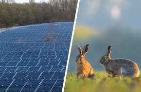 Landesjagdverband Schleswig-Holstein e.V.: Photovoltaik: Landesjagdverband setzt Maßstäbe für Solarparks
