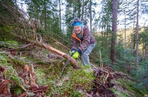 Bergwaldprojekt e.V.: Freiwilligeneinsatz im Nationalpark Schwarzwald: Eine Woche Biotope pflegen für das Auerhuhn