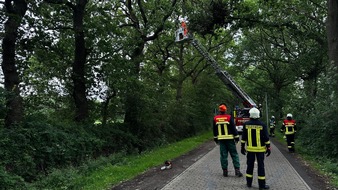 Freiwillige Feuerwehr Aurich: FW-AUR: Teile von Baumkrone absturzbedroht