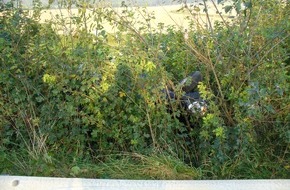 Polizeiinspektion Northeim: POL-NOM: Verkehrsunfall - Fahrerin wurde schwer verletzt -(Bilder im Anhang)