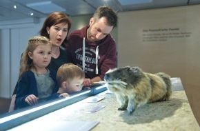 Naturmuseum Solothurn: Mittagsführung und Kinderanlass in der Sonderausstellung "Gipfelstürmer und Schlafmützen"