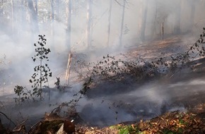 Feuerwehr Bochum: FW-BO: Feuer in einem Waldgebiet in Bochum Stiepel