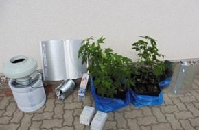 Polizeiinspektion Northeim: POL-NOM: 19 Cannabispflanzen bei Durchsuchung beschlagnahmt
