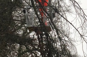 Feuerwehr Stolberg: FW-Stolberg: Sturmtief Hermine verursacht viele Einsätze