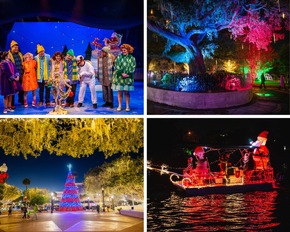 Barfuß im Sand und umgeben von Lichtern: Floridas besondere Vorweihnachtszeit