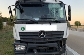 Verkehrsdirektion Mainz: POL-VDMZ: LKW fährt über Leitplanke und Notrufsäule