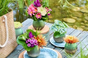 JustChrys.com: Sommerliches Farbspektakel mit der Chrysantheme / Sommerzeit ist Chrysanthemenzeit