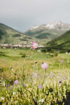 Breit abgestützte Nachhaltigkeitsstrategie und ambitionierte ESG-Ziele der Andermatt Swiss Alps Gruppe und der Andermatt-Sedrun Sport AG