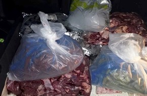 Bundespolizeidirektion Sankt Augustin: BPOL NRW: Bundespolizei stoppt Fleischtransport mit 130 Kilogramm ungekühltem Rindfleisch